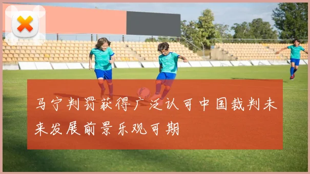 马宁判罚获得广泛认可中国裁判未来发展前景乐观可期