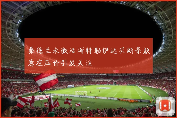 桑德兰未激活海特勒伊达买断条款意在压价引发关注